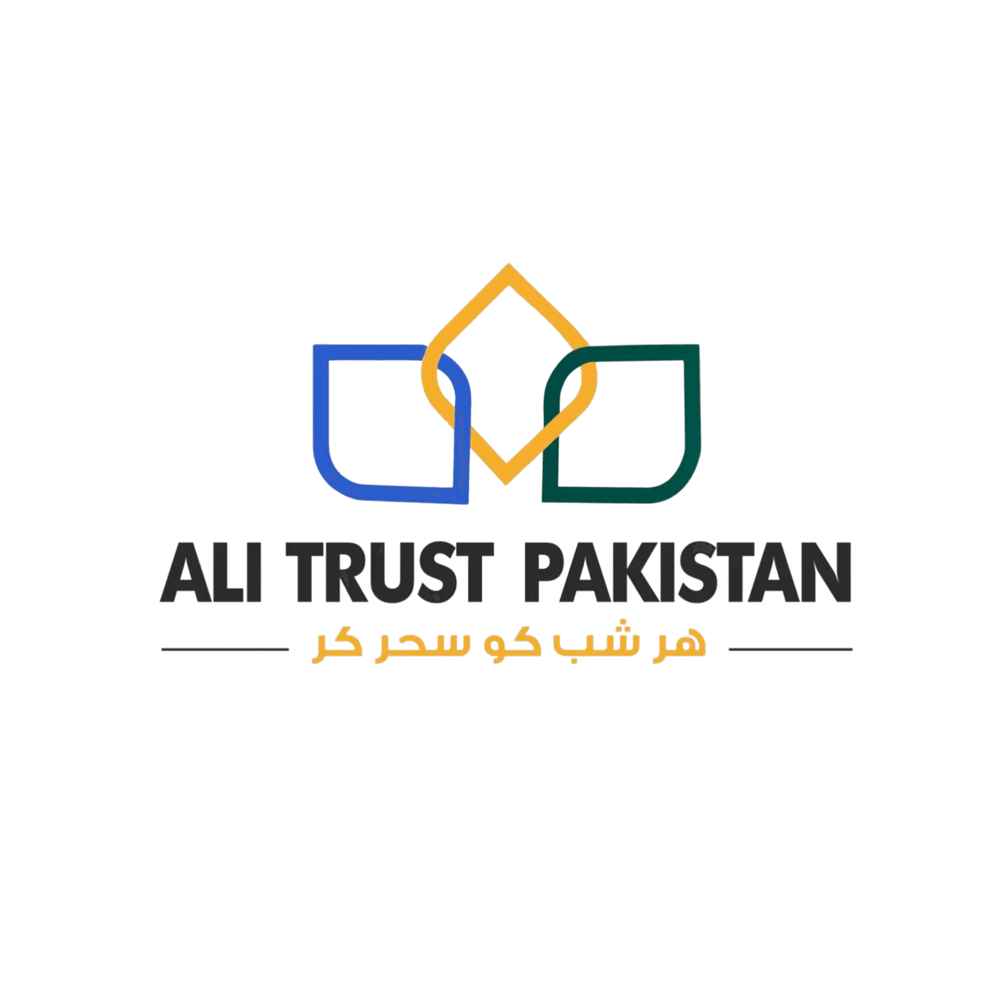Partner Logo 13