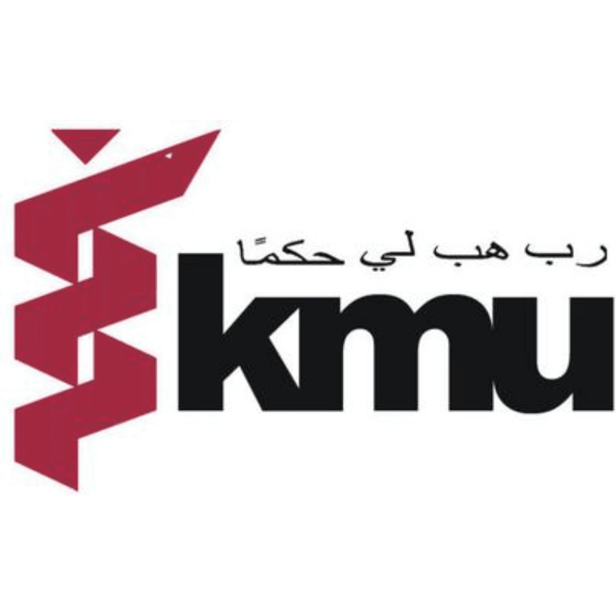 Partner Logo 19